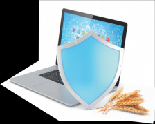 费者协会、第三方测评机构发布“诚信红榜”“